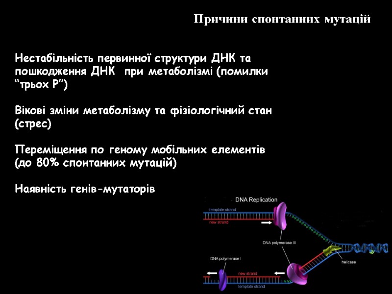 Причини спонтанних мутацій  Нестабільність первинної структури ДНК та пошкодження ДНК  при метаболізмі